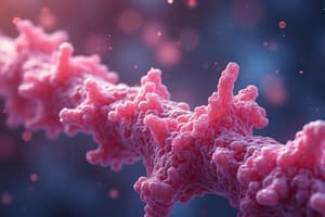 Pharmacokinetics: Drug Action in the Body