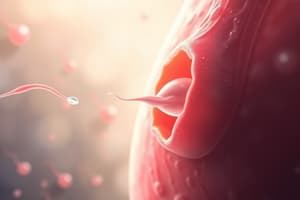 Sperm Maturation and Fertilization