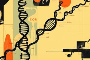 RNA Types and Functions