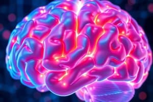 Cognitive Neuroscience Quiz