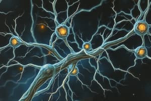 Neuroscience Overview Quiz