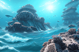 Explore the Vast Oceans