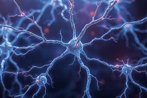 Neurosciences: Système Nerveux