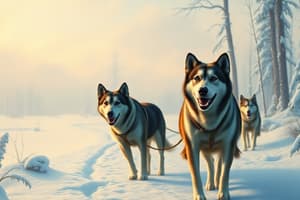 Balto and the Serum Run to Nome