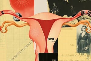 Ovarian Cycle and Menstrual Cycle Overview