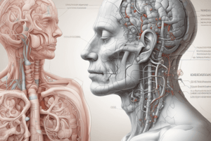 Respiratory System Quiz: Dyspnoea, Wheeze, and Infections