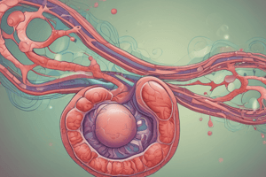 Syndromes Néphrotiques : Lésions Glomérulaires Minimes