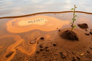 Contaminación Ambiental y Sus Tipos