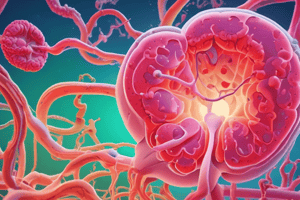 24.7 Evaluating Kidney Function