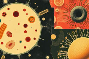 Prokaryotic vs. Eukaryotic Cells