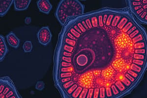 Biology Chapter 5: Cells and Microscopy