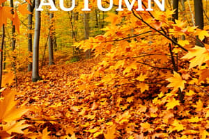 Autumn in Canada: Vocabulary Quiz