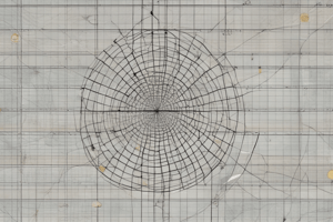 Coordinate Plane and Unit Circle Quiz