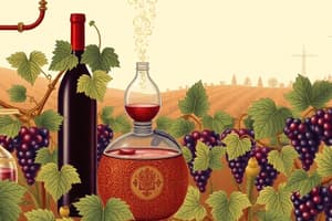 Wine Production and Fermentation Process