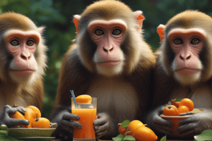 Monkeys Diet Quiz