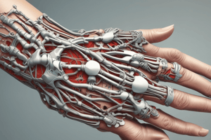 The Wrist Complex: Anatomy and Functions