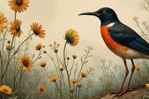 Diversity in the Living World
