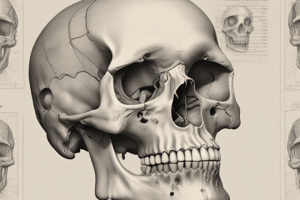 Forensic Anthropology: Sex and Age Determination from Skull Analysis