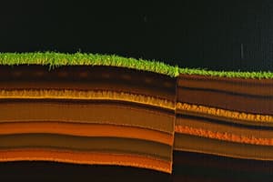 Soil Profile and Horizons