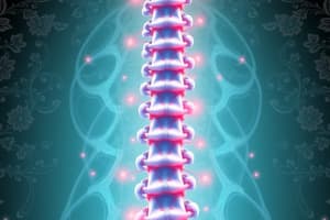 Central Lumbar Stenosis Causes and Effects