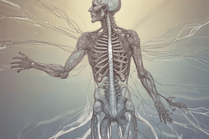 Central Nervous System Functions