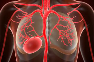 Human Circulatory System Overview