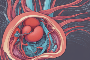 Urinary System Microanatomy- Pt 1