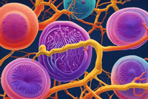 Cell Division and Genome Quiz