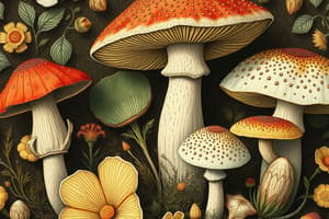 Mushroom Identification Quiz