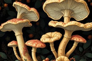 Introduction to Fungi and Their Classification