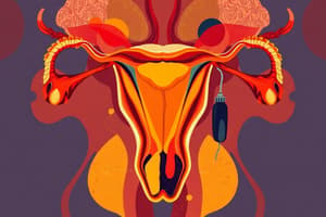 Male Reproductive System Quiz