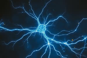 L'activité électrique des neurones chap 3