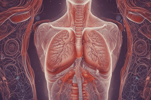 Respiratory System