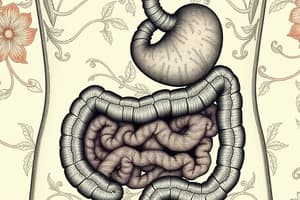 Gastrointestinal System Quiz