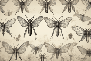 Insect Evolution and Animal Behavior Quiz