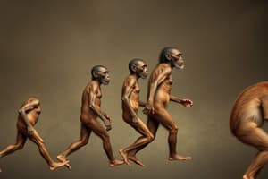 Human Biocultural Evolution Quiz