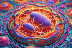 Cell Biology: Compartmentalization and Transport Quiz