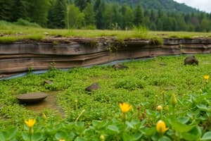 Introducción a los Ciclos Biogeoquímicos