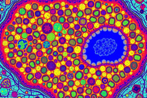 Four Basic Tissue Types and Epithelial Tissue