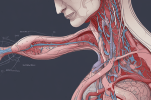 Renal Excretory Pathways