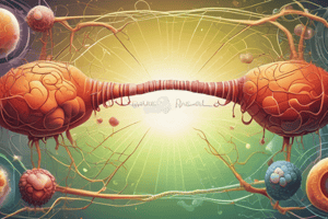 Role of ATP in Cellular Activities