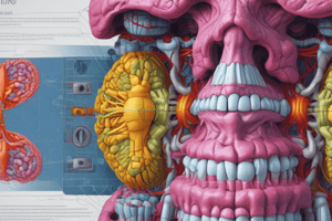 Interpolation Algorithms in Computed Tomography Equipments