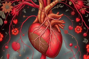 Circulation through Heart - Quiz