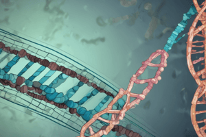 Genetics: Spacer Molecules, Promoters, Telomere, and Centromere