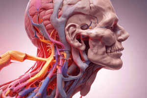 Cervicogenic Headache Overview