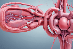 Renal Artery Stenosis Clinical Features and Treatment