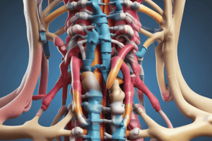 Spinal Ligamentous Support Quiz