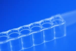 Enzyme-Linked Immunosorbent Assay (ELISA)