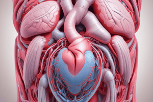 Relieving Aortocaval Compression in Pregnancy