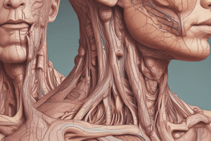 Integumentary System: Skin and Its Derivatives